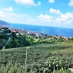 Paradise