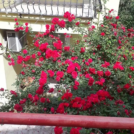 Вилла Paradise *