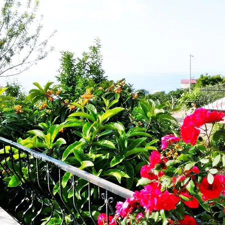Paradise Villa *