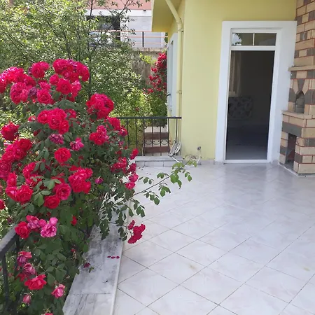 Paradise Villa