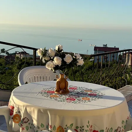Paradise Villa *