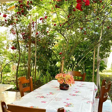 Villa Paradise Trabzon
