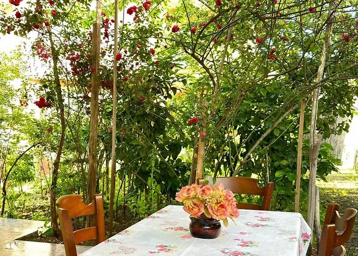 Villa Paradise Trabzon